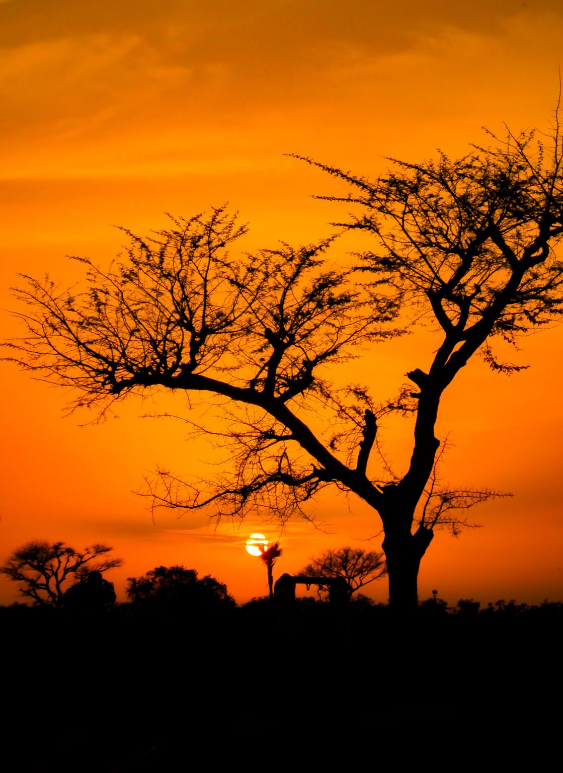 - Malinké: Histoire, culture et influence - conte africain